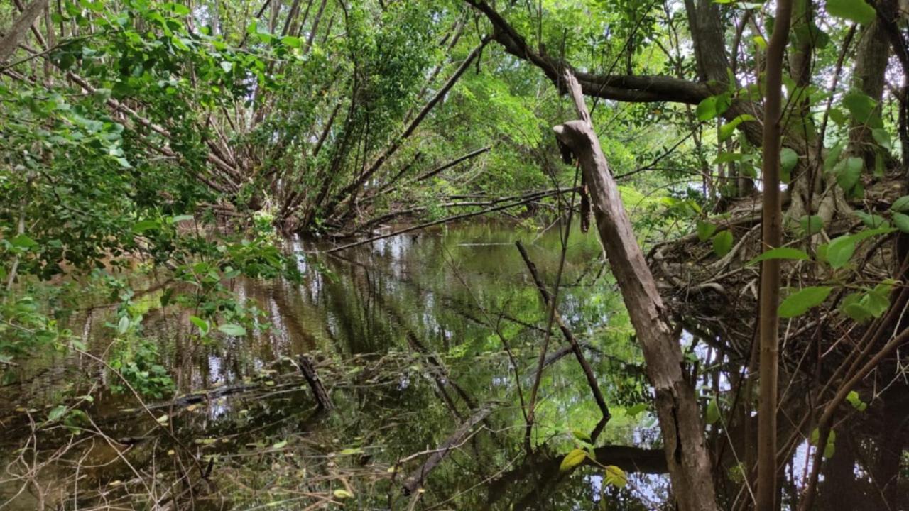 Le Jardin Du Petit Macabou Daire Le Vauclin Dış mekan fotoğraf